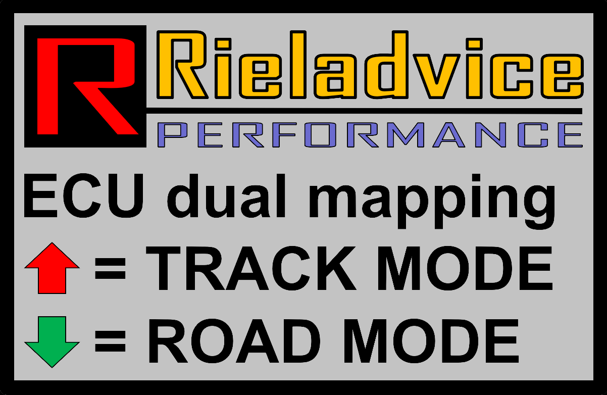 ECU Dual Mapping Switch